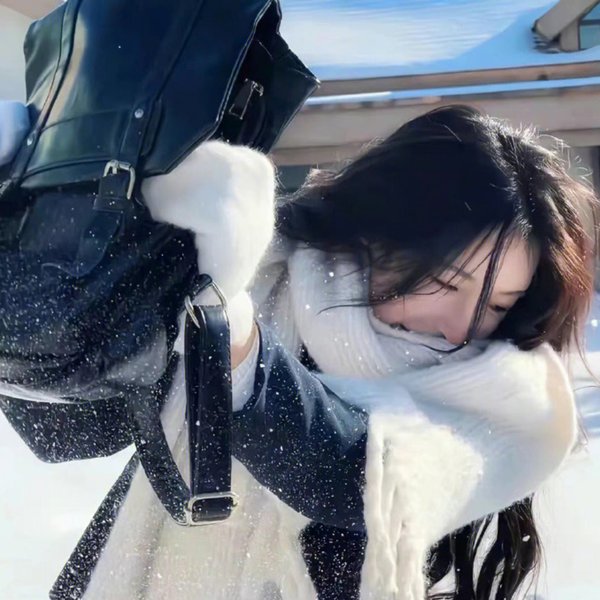 飞行之翼